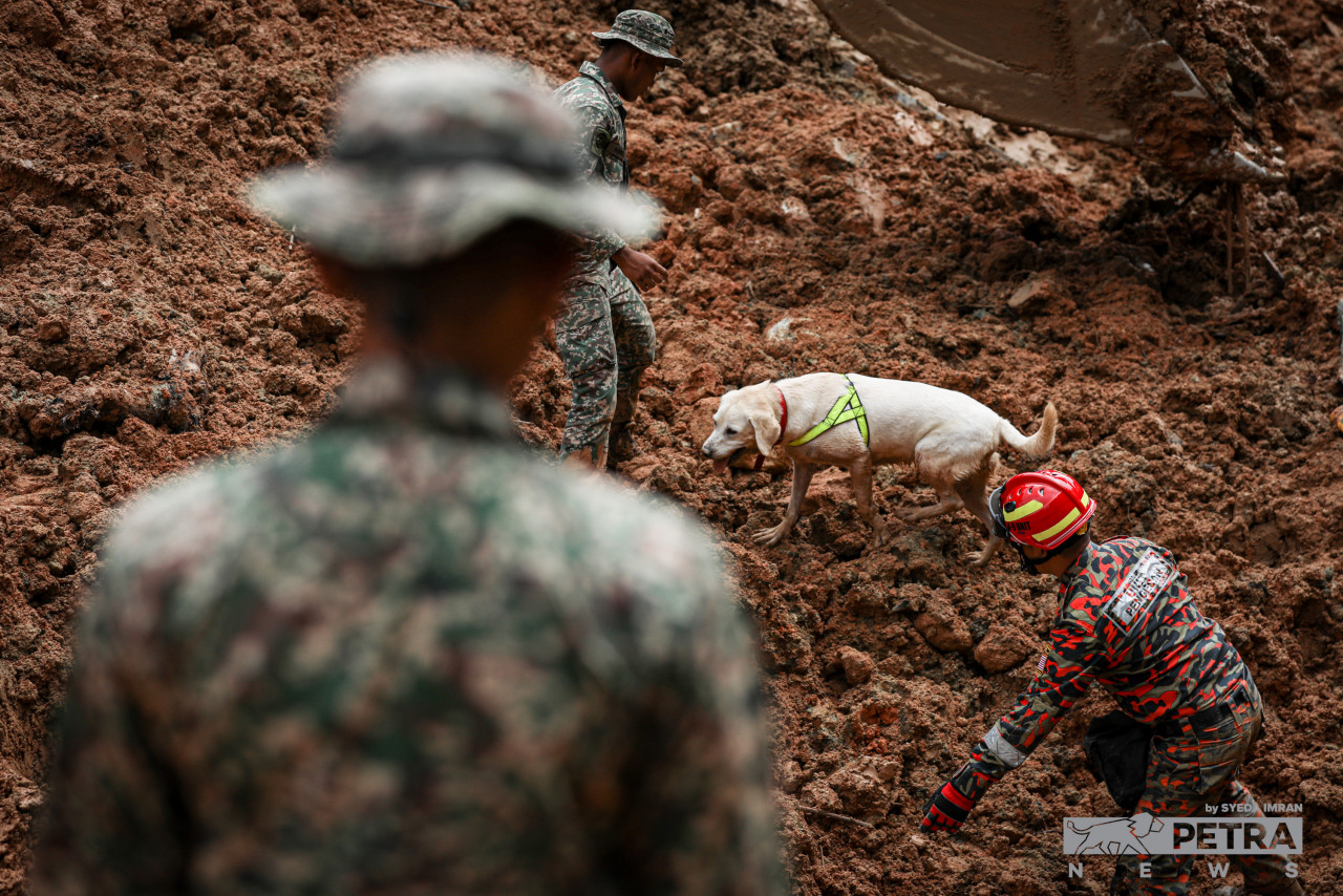 Pengarah JBPM Selangor, Datuk Norazam Khamis berkata setakat ini seramai 130 pegawai dan anggota terlibat dalam operasi SAR dengan waktu penugasan dijalankan mengikut sistem penggiliran yang ditetapkan.