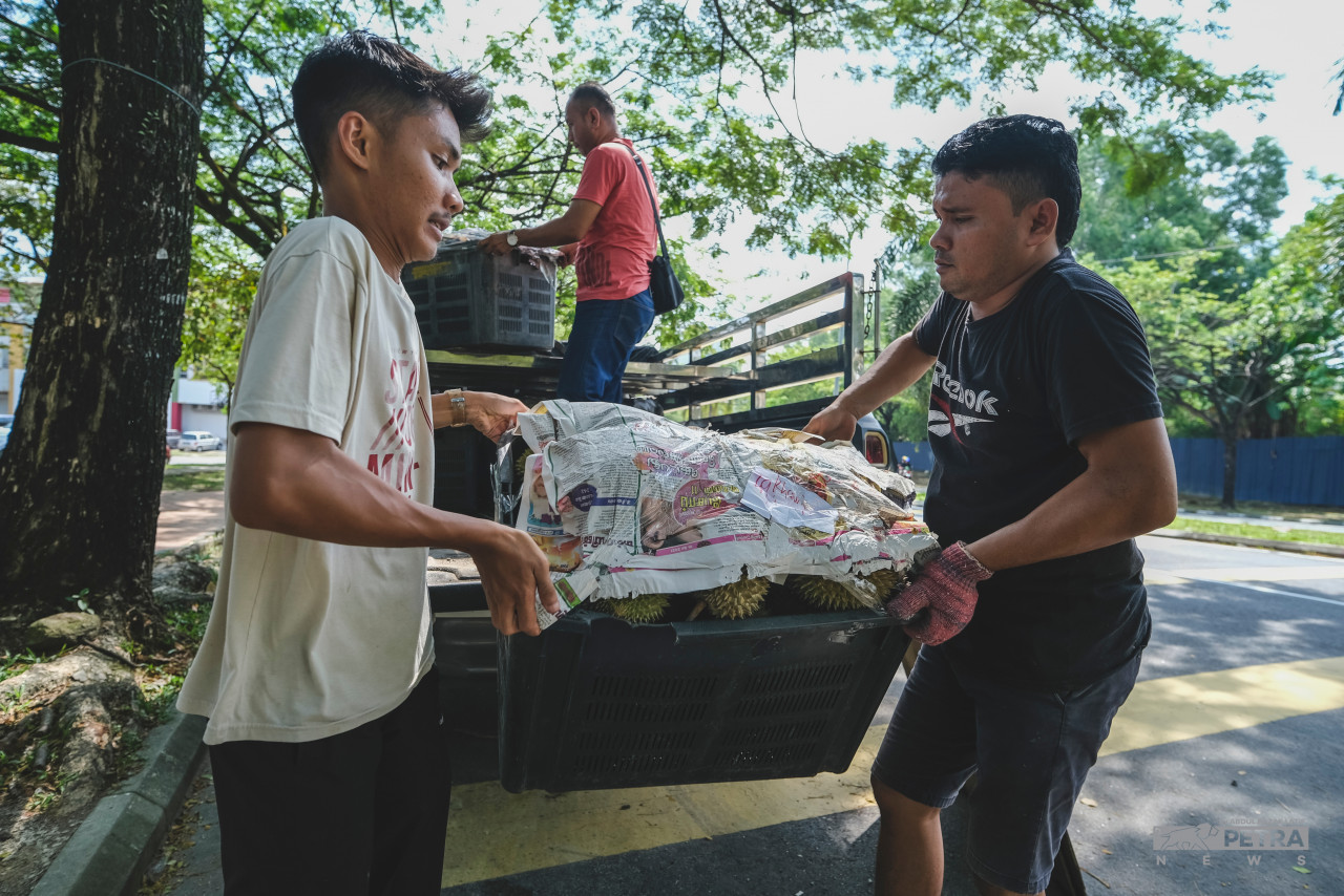 Ketibaan musim durian sehingga tiga kali setahun memberi peluang kepada peniaga untuk meningkatkan pendapatan selepas negara dilanda pandemik COVID-19. - Gambar oleh Abd Razak Latif
