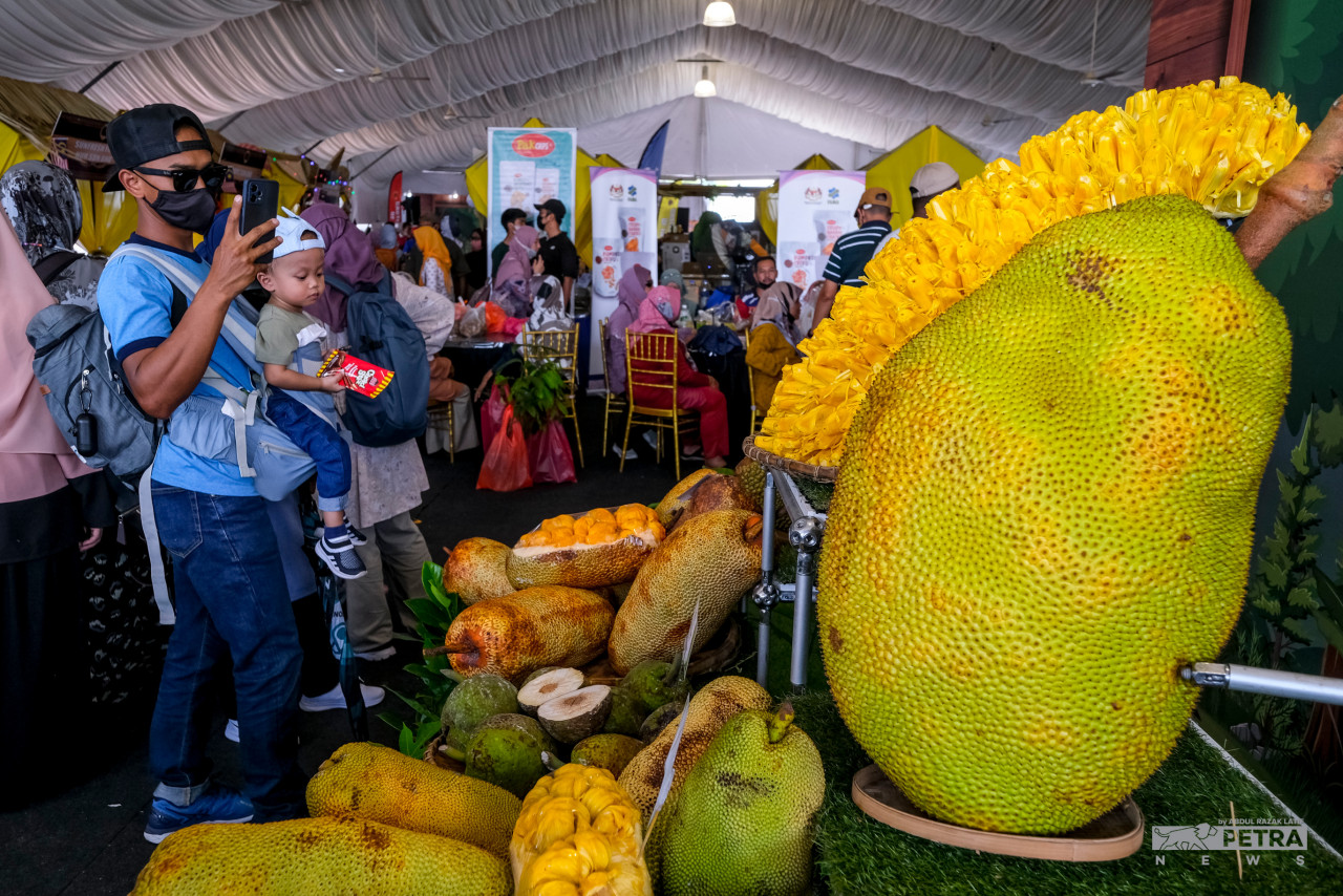 Orang ramai berpeluang mendapatkan pelbagai tip mengenai penanaman pokok, penternakan dan banyak lagi. - Gambar oleh Abdul Razak Latif