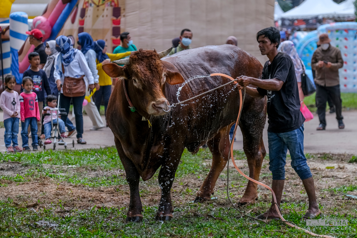 Sebanyak 1,500 ruang pameran disediakan kepada pengunjung pada MAHA 2022. - Gambar oleh Abdul Latif Ahmad
