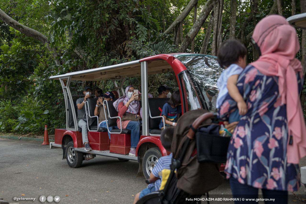 Salah satu tarikan di Zoo Negara ialah Tram Rides, yang disediakan kepada pengunjung pada kadar yang ditetapkan.