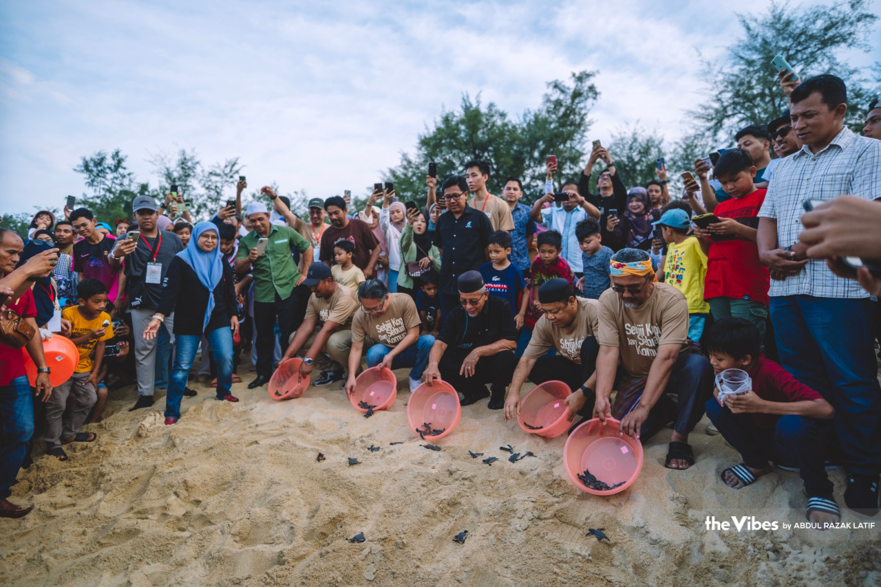 Upacara perasmian Festival Kopi Kemaman dilakukan dengan simbolik pelepasan anak penyu ke laut di Resort World Kijal, Kemaman, Terengganu