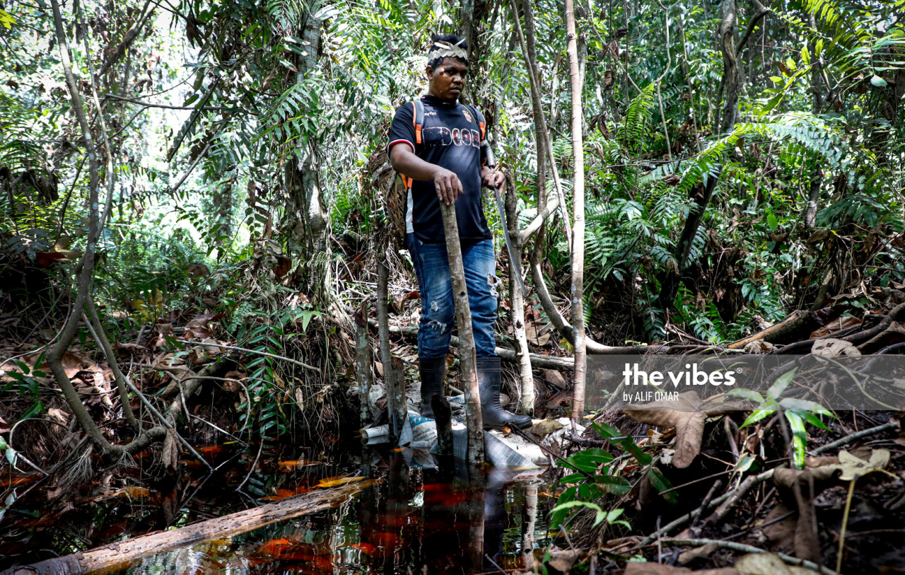 Salah seorang penduduk Kampung Busut Baru meninjau kawasan hutan simpan Kuala Langat Utara baru-baru ini. - Gambar fail Alif Omar