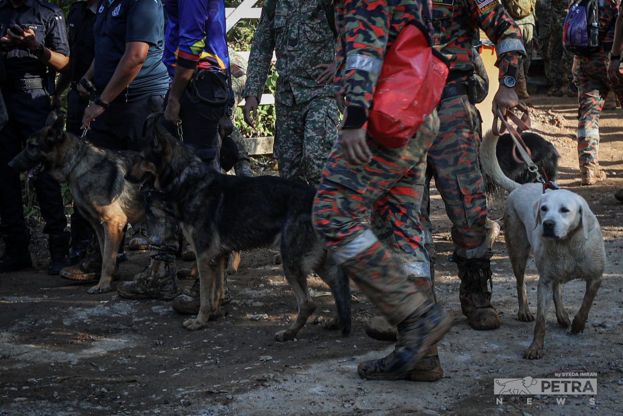 Sembilan anjing pengesan (K9) turut digunakan dalam operasi mencari dan menyelamat (SAR) ini.