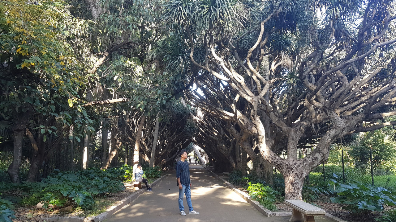 Penulis di Taman Botanik Hamma 