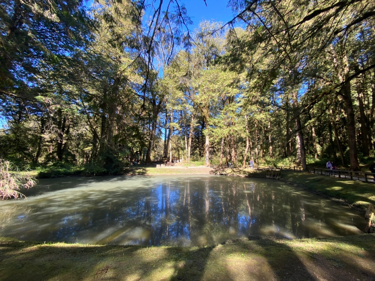 Alishan Forest Recreation Area. - Gambar oleh Wafa Aula