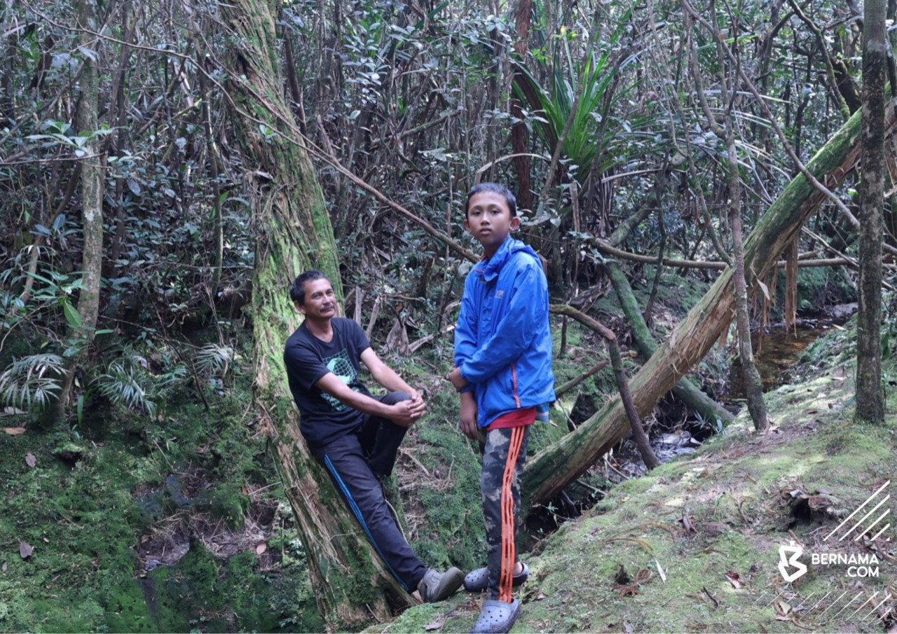 Anas Ahmad ketika menemani bapanya,  Zulhisham Abd Rahim ‘merintis’ laluan baru gunung di sekitar Pahang.