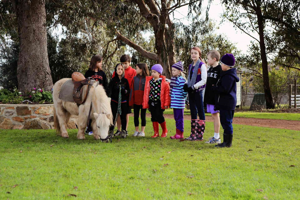 Pelbagai aktiviti menarik di Ferguson Farm. - Gambar ihsan Tourism Western Australia