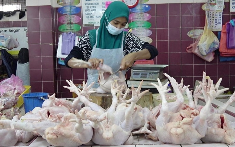 Azizah Omar