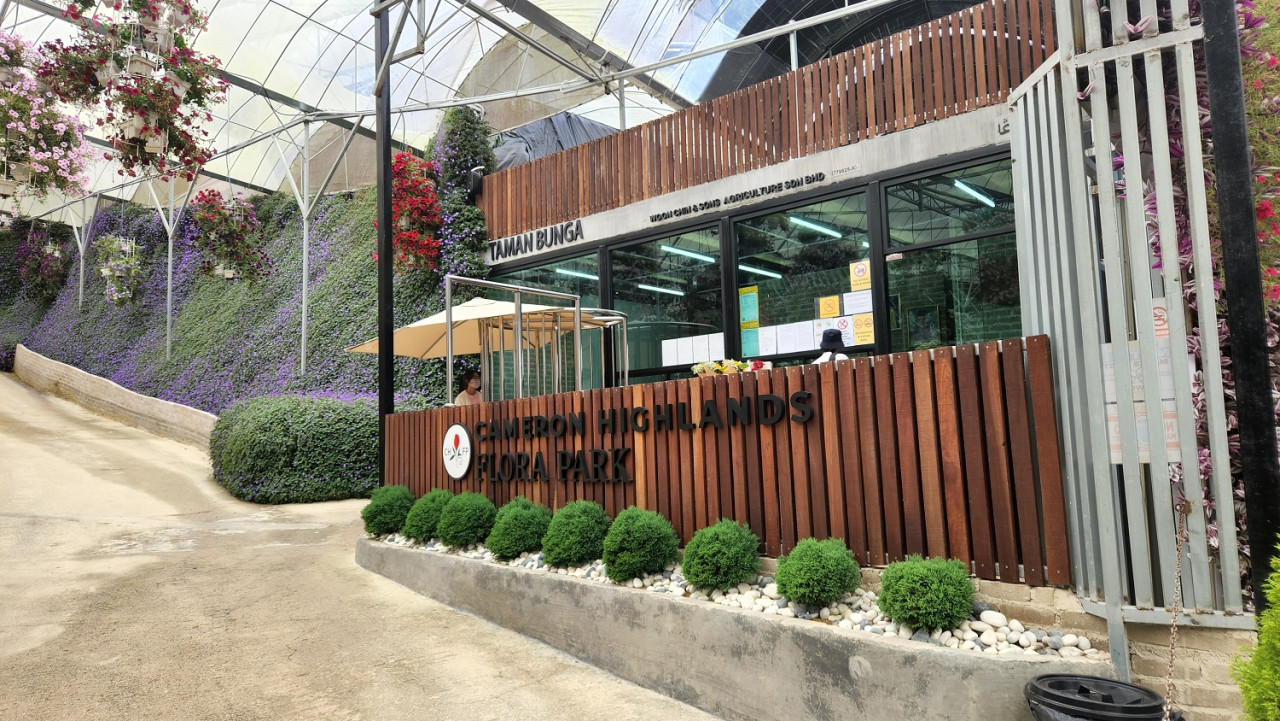 Untuk sampai ke muka pintu Cameron Flora Park, anda perlu menaiki trak yang disedia di ‘pick-up point’