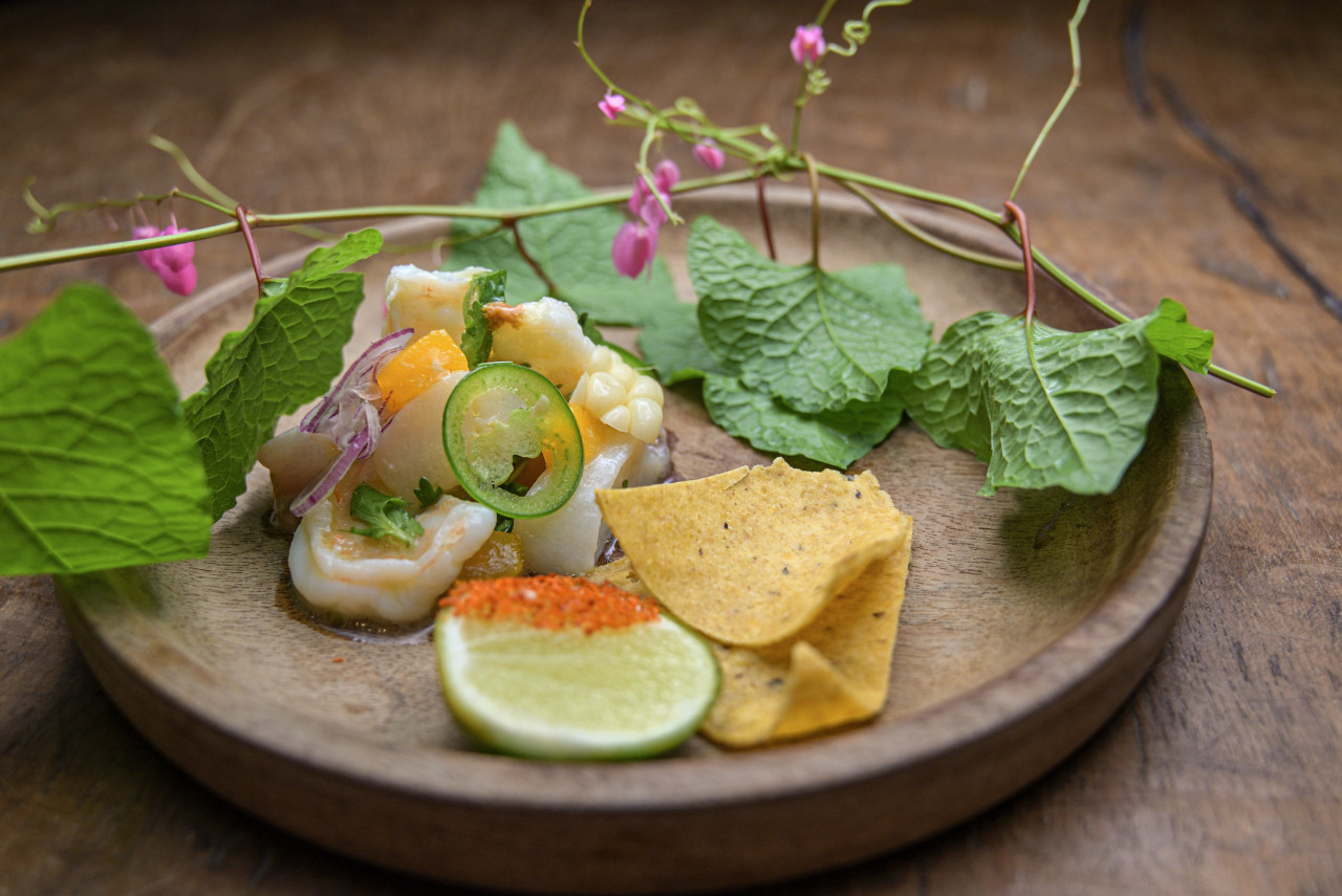 Tropical Ceviche