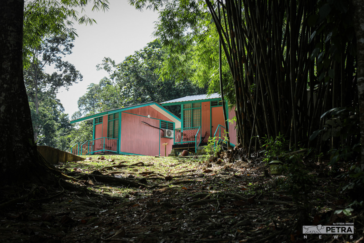 Ada pelbagai jenis penginapan di sediakan di Resort Taman Eko Rimba Komanwel ini. Pilih saja mahu berkhemah atau selesa di kamar berhawa dingin