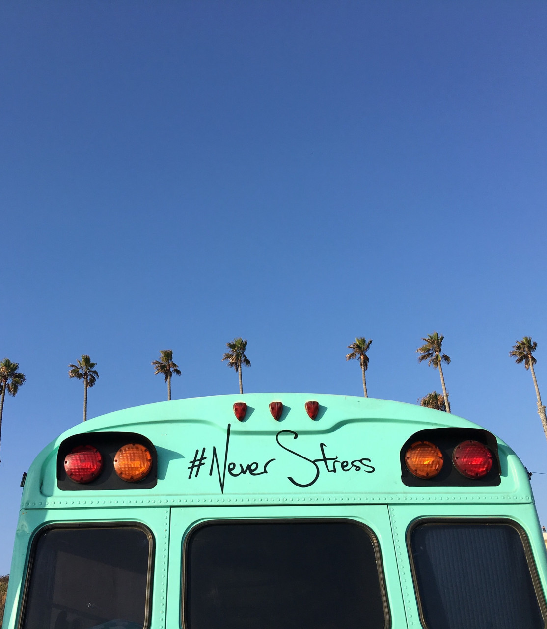 Gambar: Sharon Wright, Unsplash