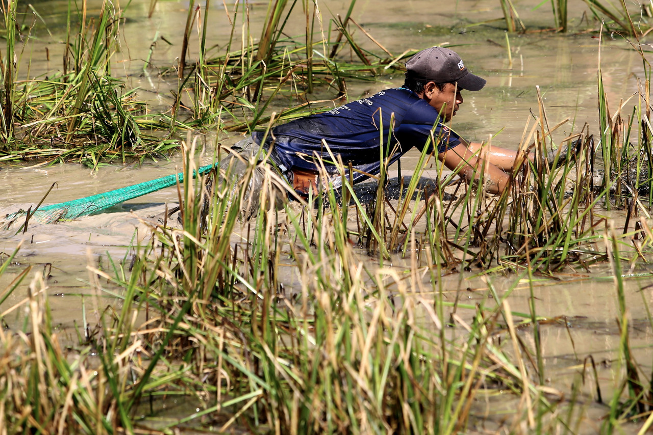 Sungai bukan sahaja menjadi sumber air dan rezeki khususnya untuk masyarakat sekitar tetapi juga mempunyai pelbagai manfaat. - Gambar Bernama