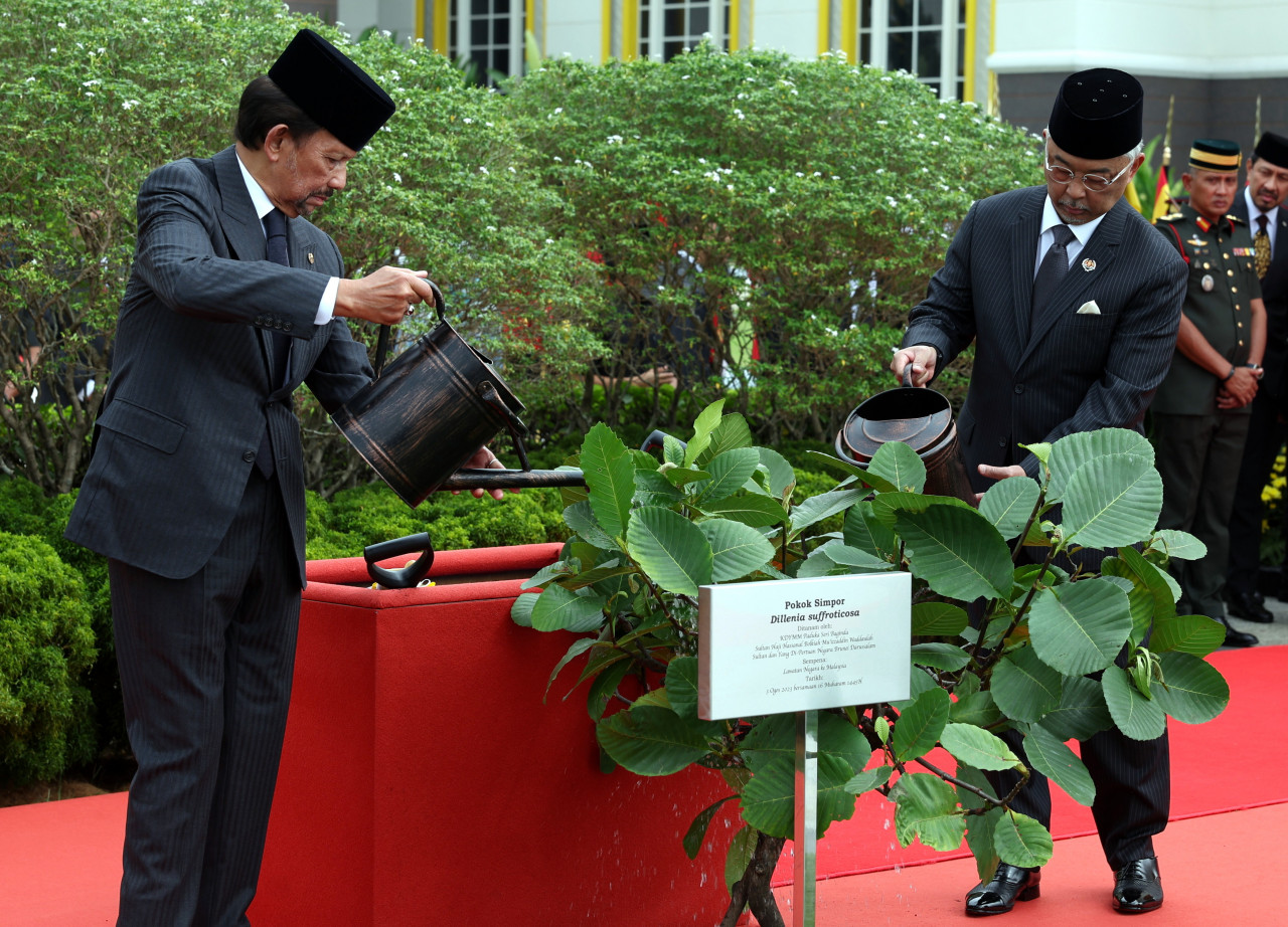 Yang di-Pertuan Agong Al-Sultan Abdullah Ri’ayatuddin Al-Mustafa Billah Shah bersama Sultan Brunei Sultan Hassanal Bolkiah berkenan menyiram pokok Simpor atau nama saintifik Dillenia Suffroticosa di pekarangan Istana Negara hari ini. gambar BERNAMA