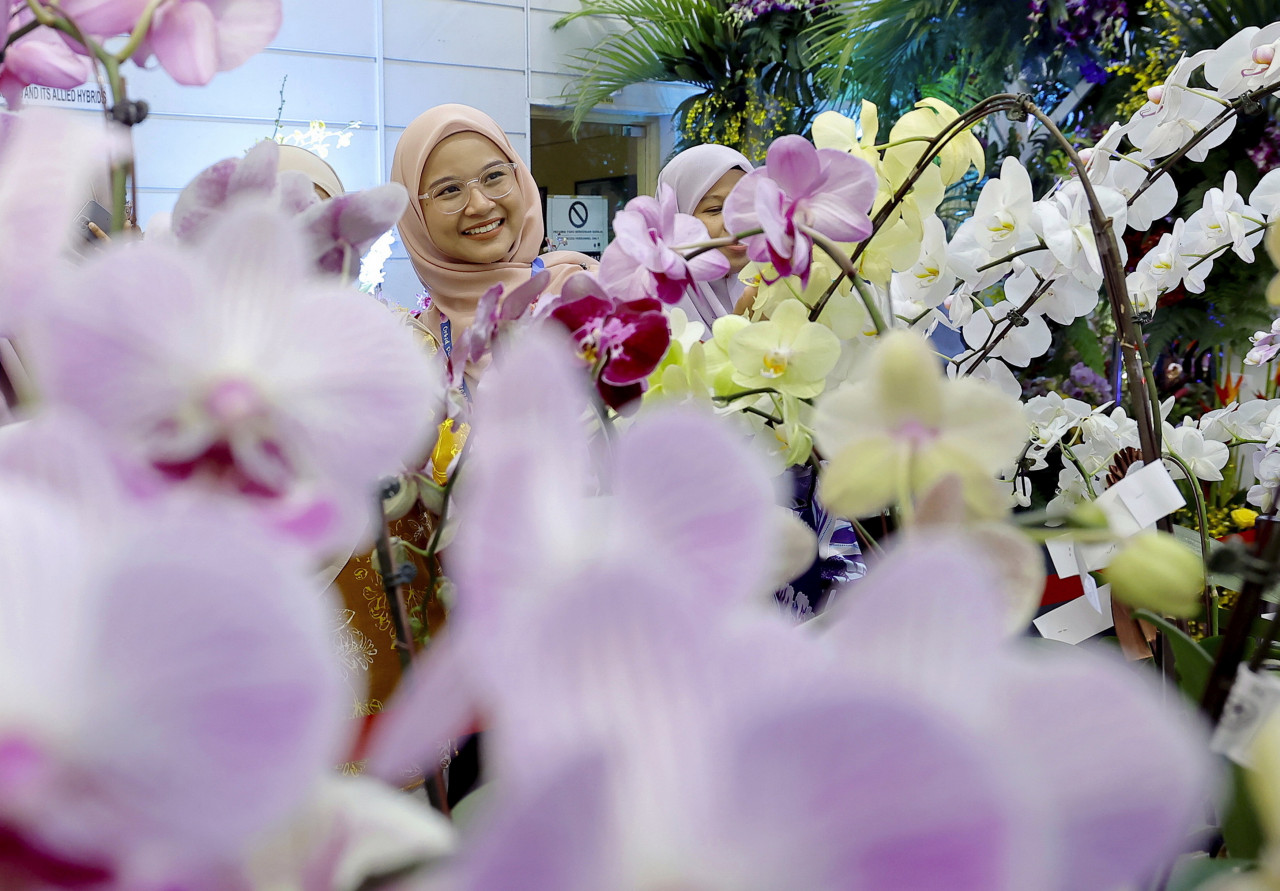 Orkid Putrajaya 2023 berlangsung selama 7 hari bermula hari ini sehingga 20 Disember depan di Taman Botani, Putrajaya. – gambar BERNAMA