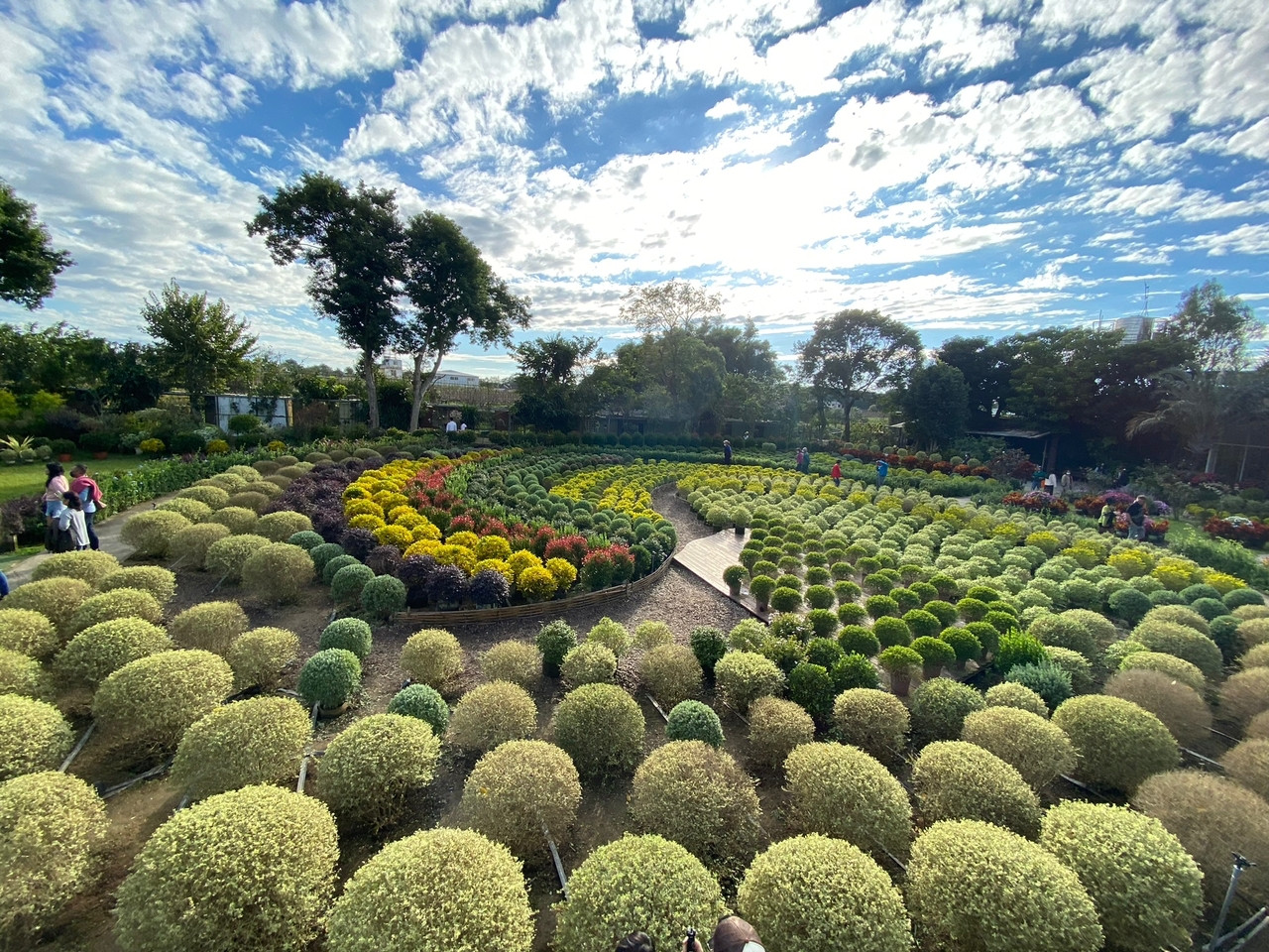Flower Home, Miaoli - Gambar oleh Wafa Aula