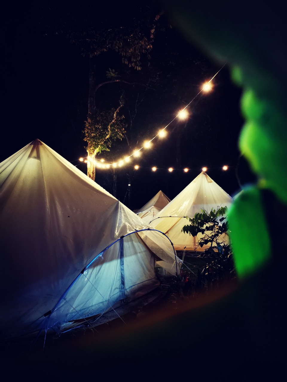 Gambar: Twitter @gopengglamping