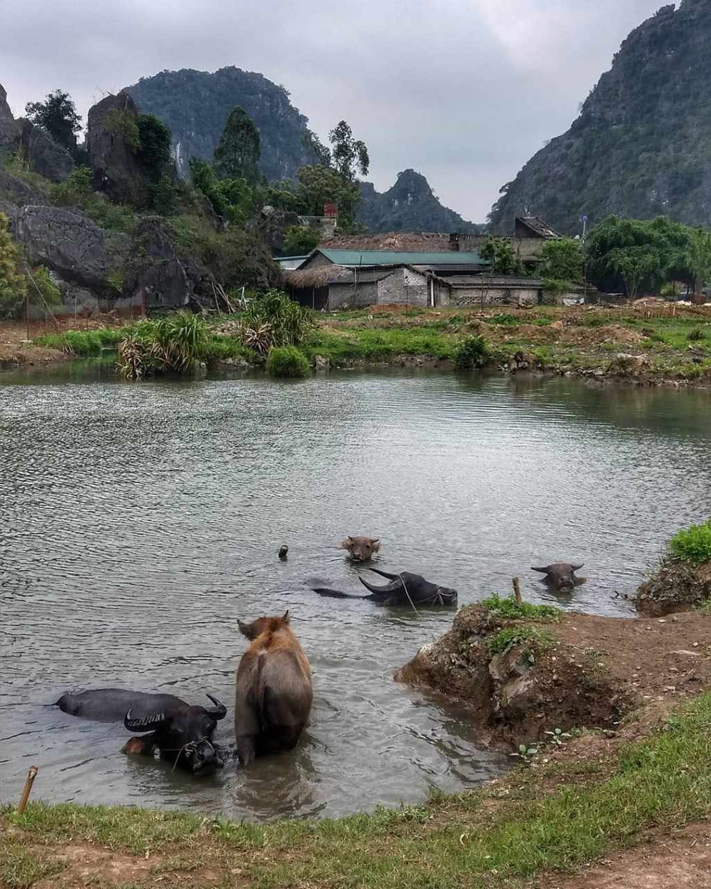 Pemandangan ketika berbasikal