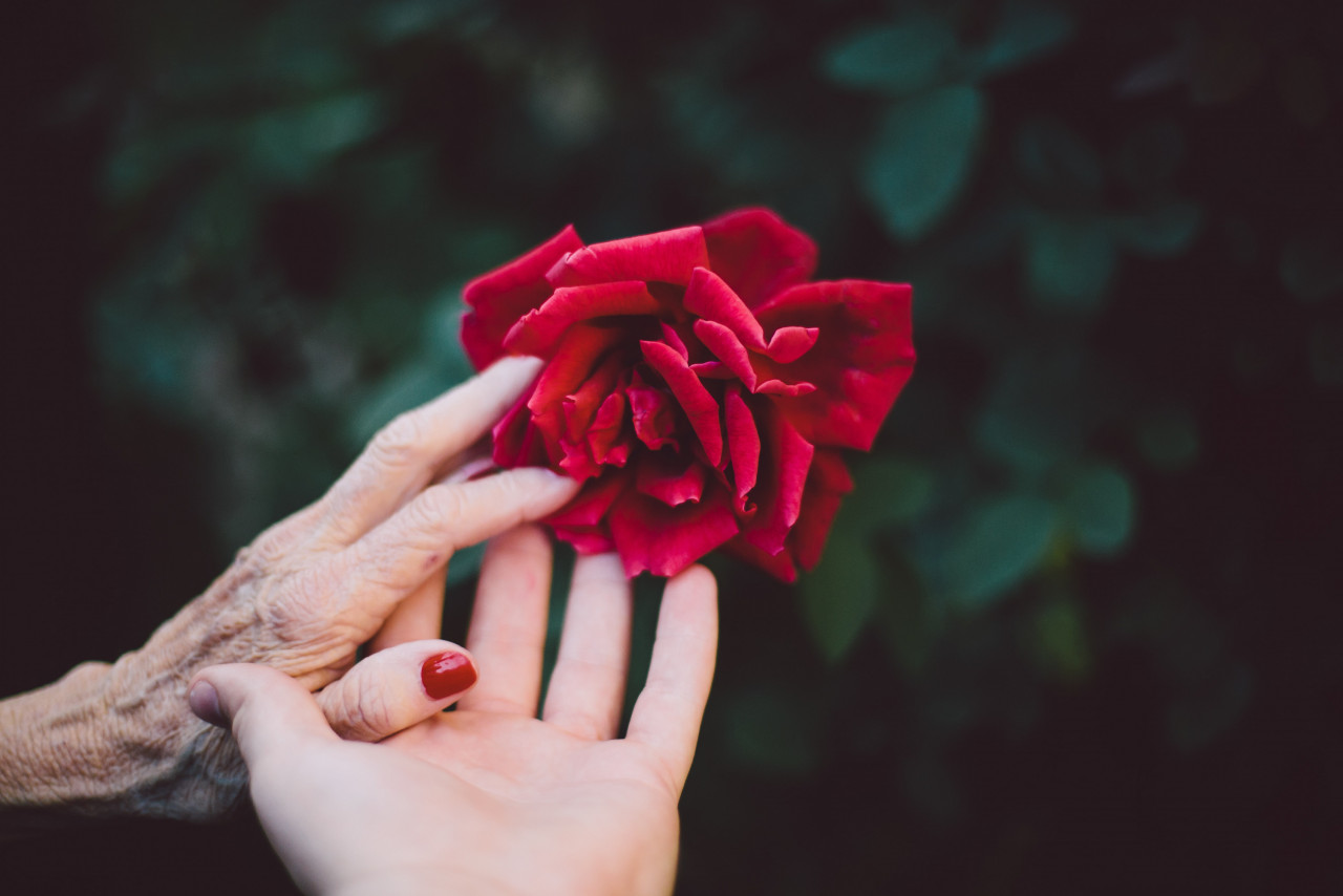 Gambar: Jake Thacker, Unsplash