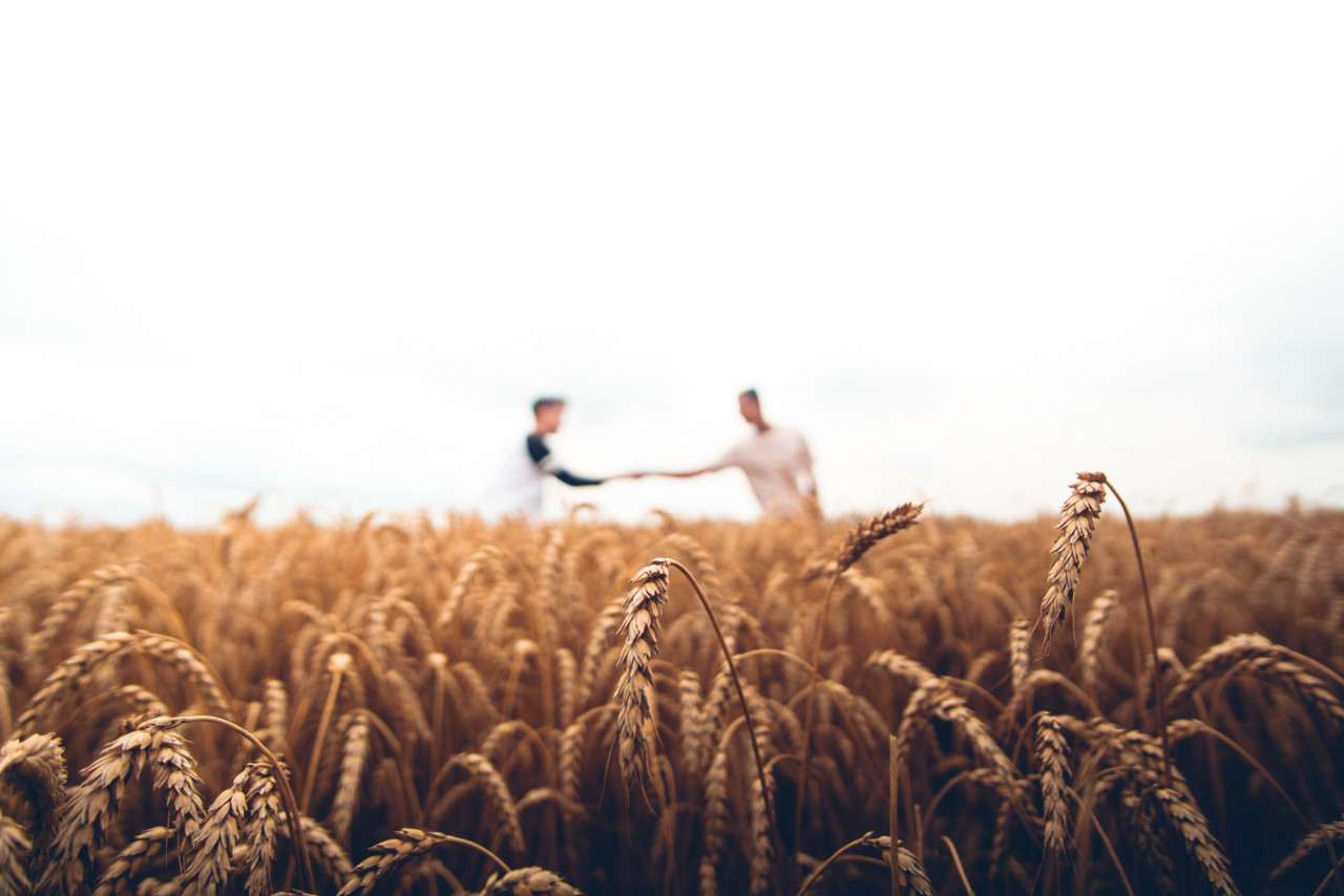Gambar Unsplash