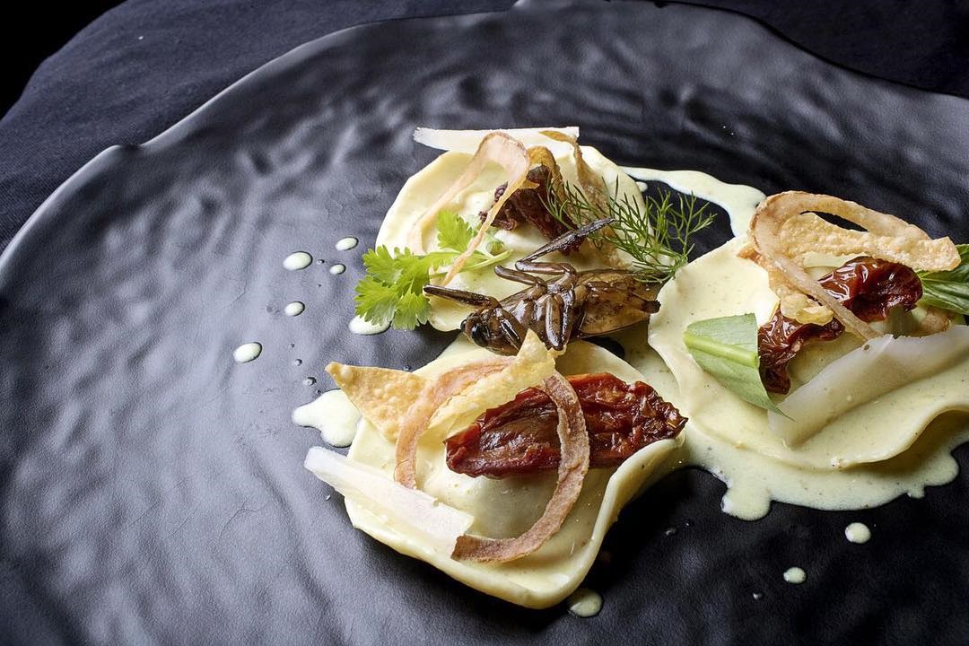 Ravioli isi ketam dan kumbang air - Gambar Instagram Insects In The Backyard