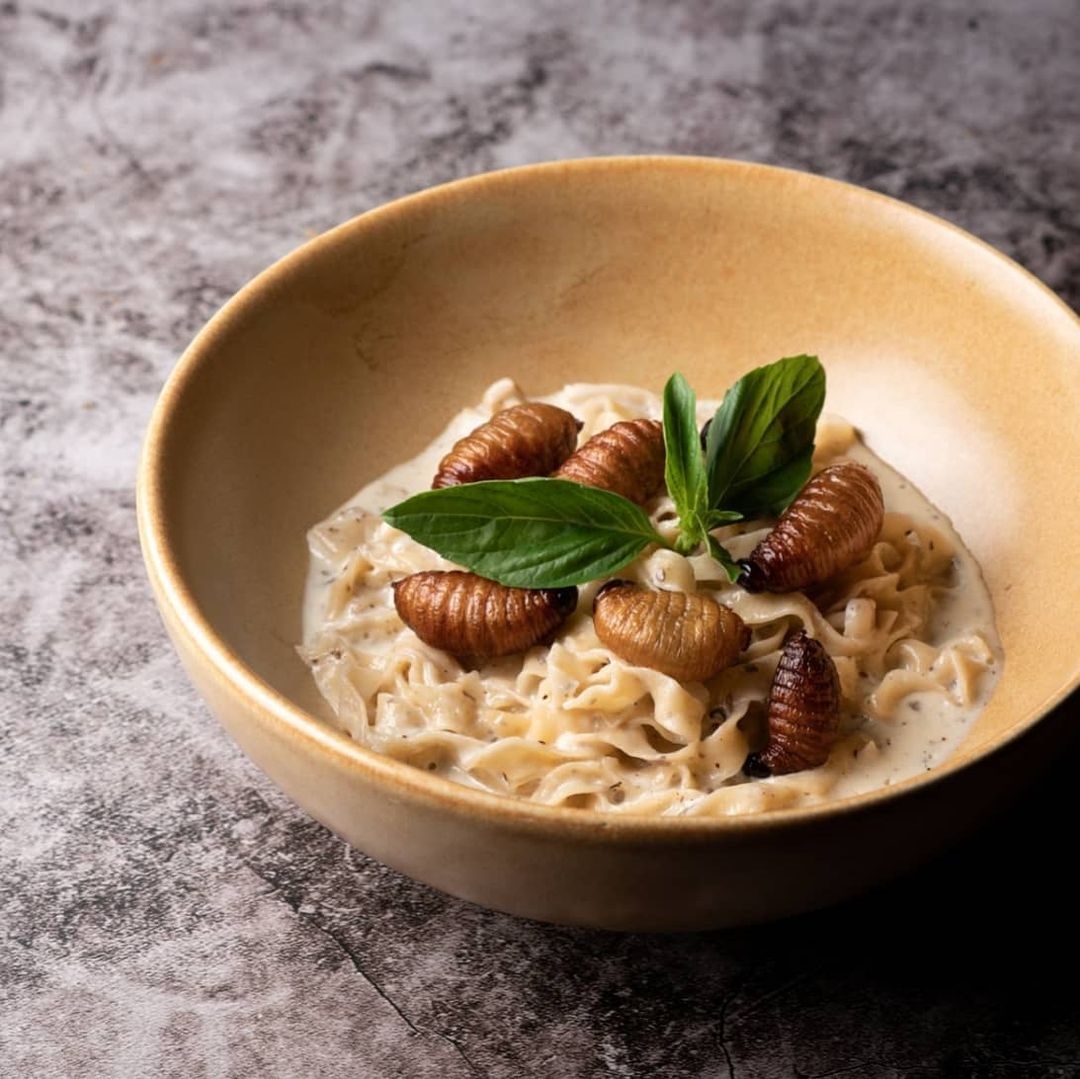 Fettuccine sos krim bersama ulat kelapa - Gambar Instagram Insects In The Backyard