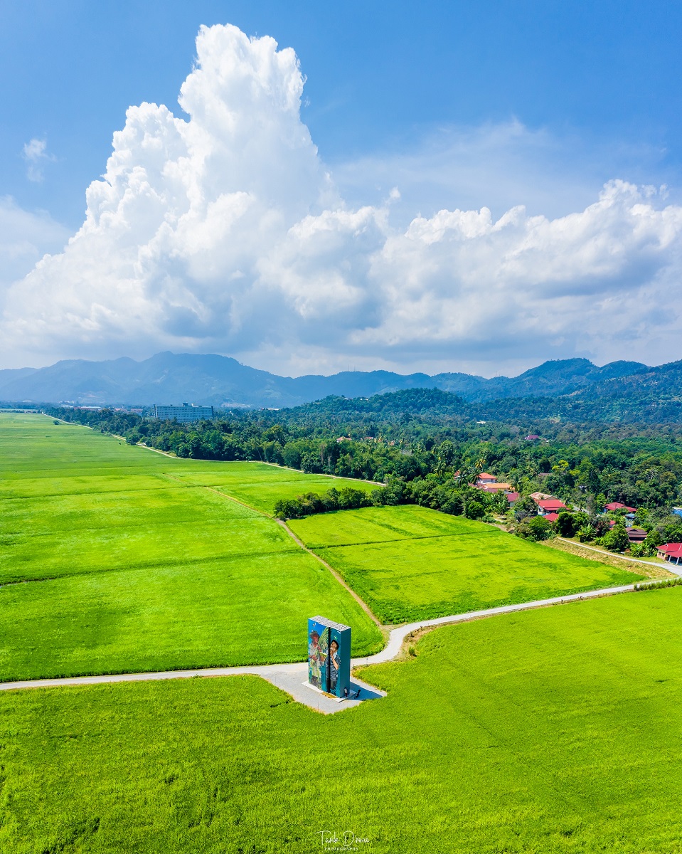Kampung Terang, Balik Pulau