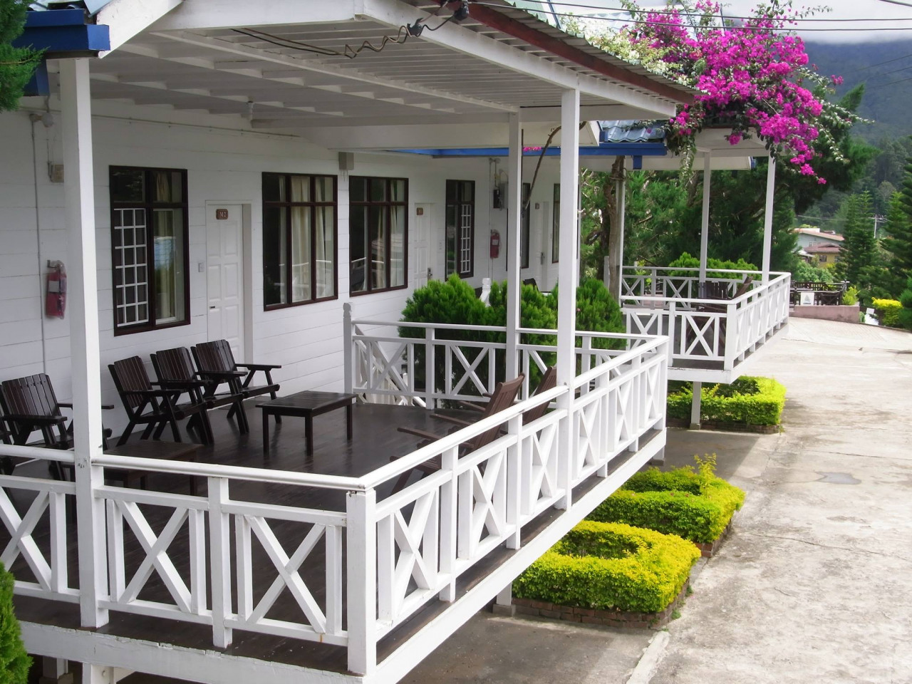 Gambar laman web Kinabalu Pine Resort