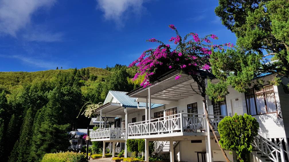 Gambar laman web Kinabalu Pine Resort