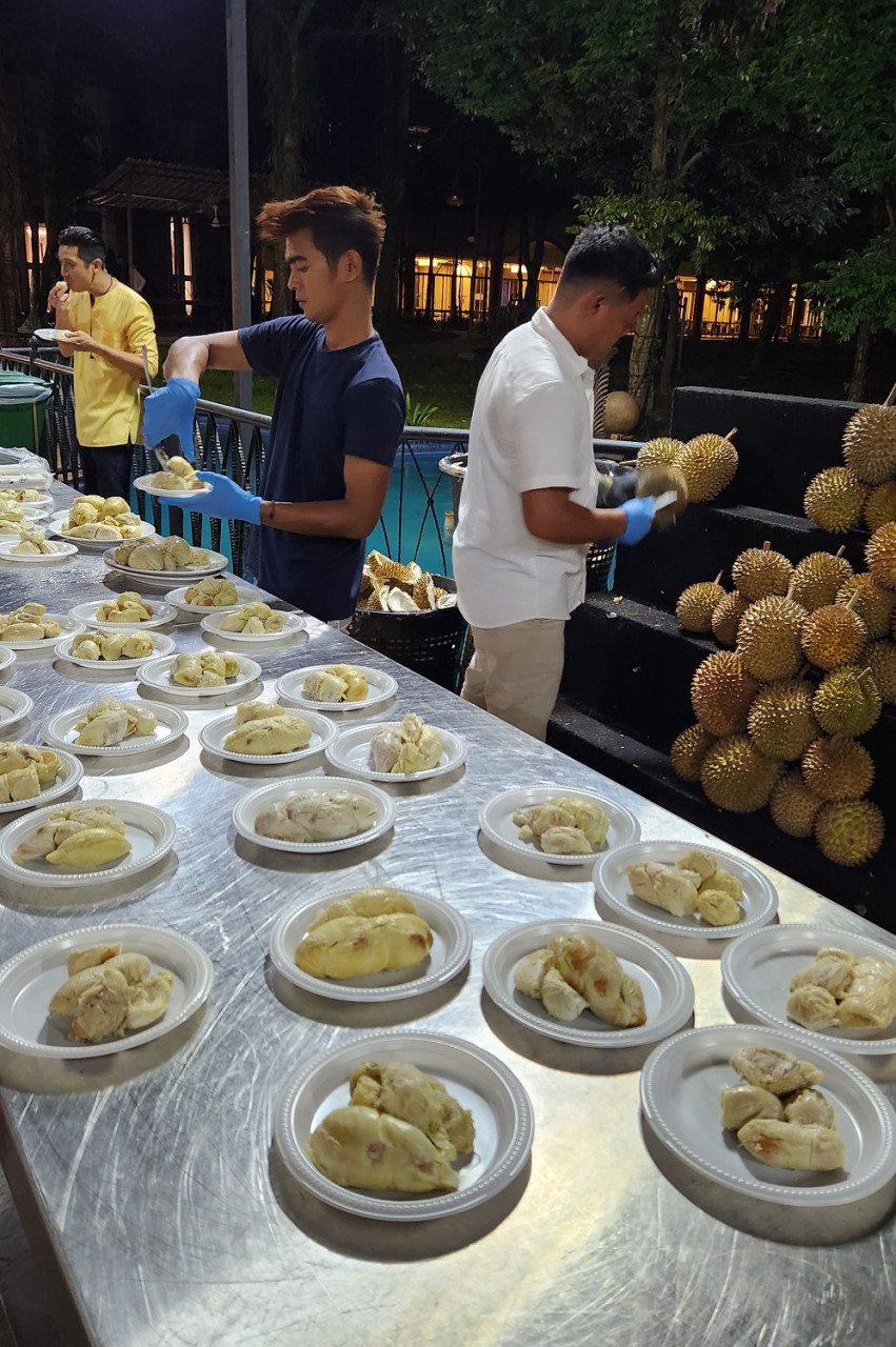 Dusun Buah-Buahan - Gambar oleh Rahayu MN