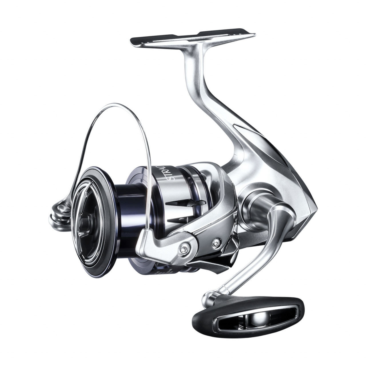 Gambar: Fish.shimono.com