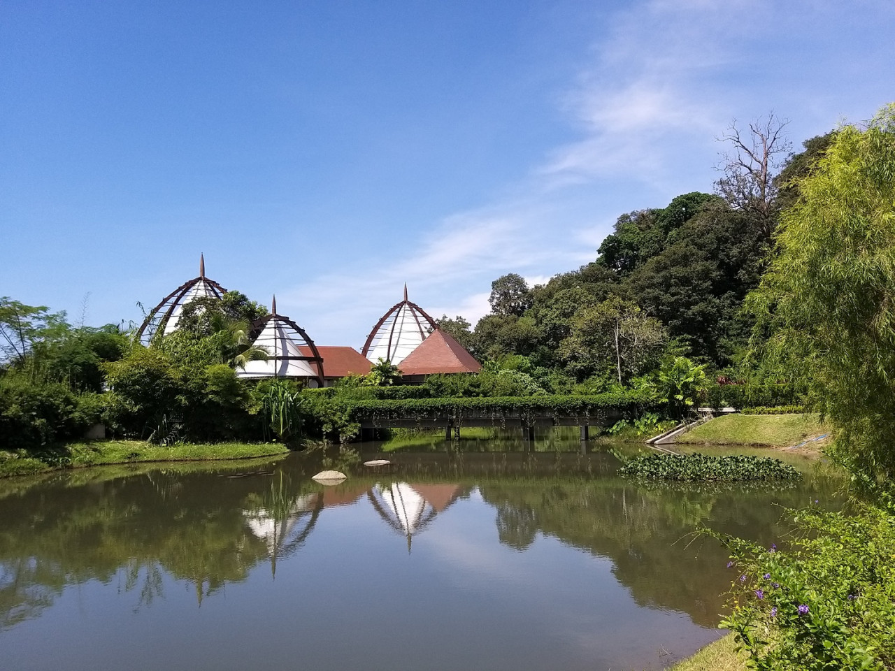 Gambar ihsan Ritz-Carlton, Langkawi & Rahayu MN