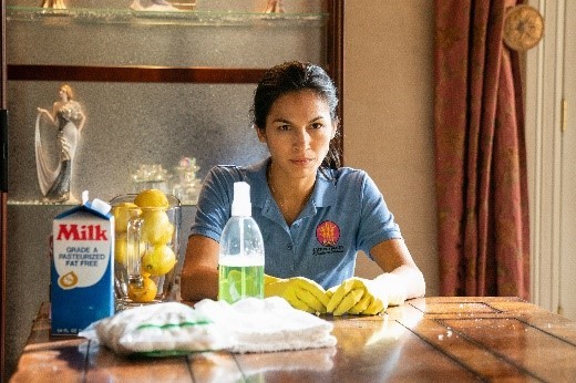The Cleaning Lady