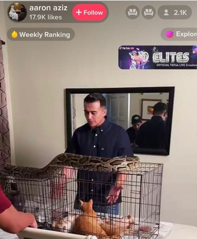 Aaron tampil menjelaskan sebagai seorang pencinta kucing, dia tidak mungkin sama sekali akan menzalimi haiwan berkenaan. - Gambar dari Instagram