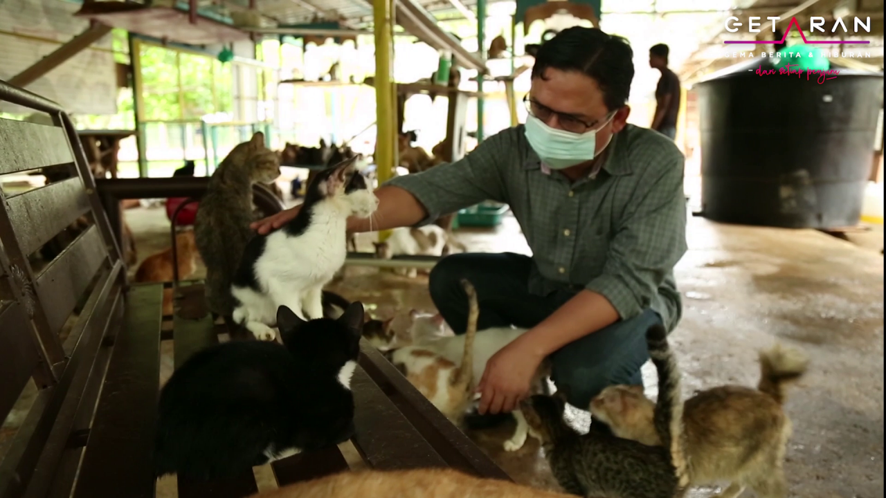 Amin bersama dengan kucing peliharaannya di Bustana Kucing, di Perlis.