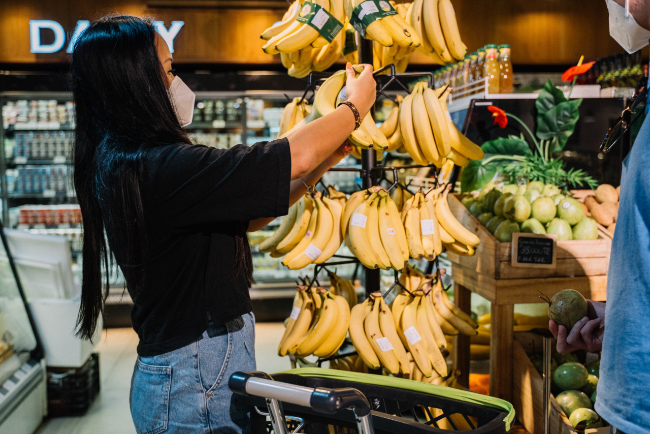 Gambar: Anna Trazevich, Pexels