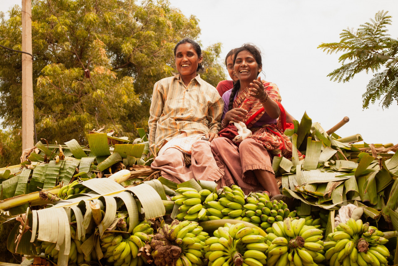 Gambar: Arti Agarwal, Pexels