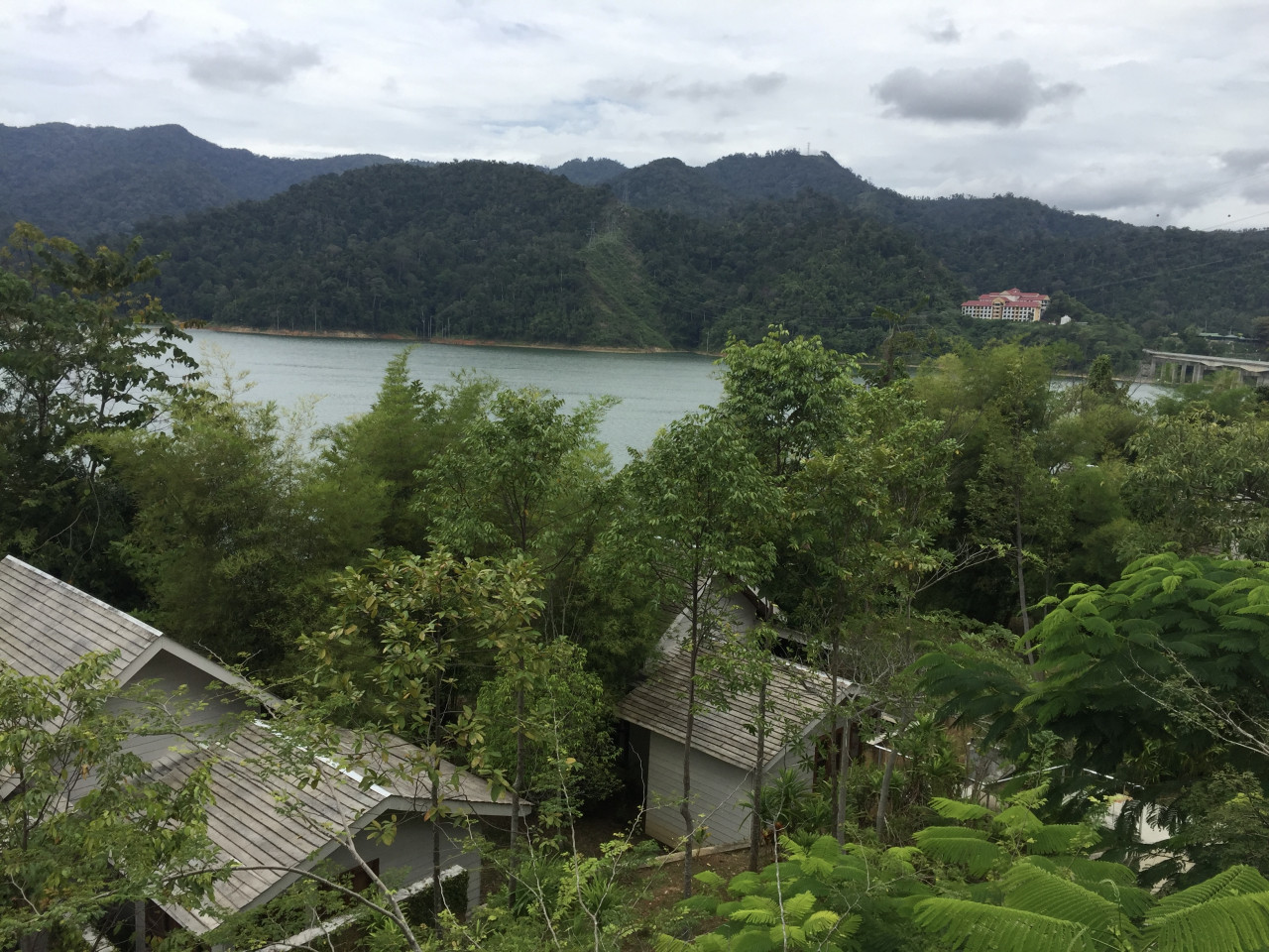 Gambar: Ili Farhana