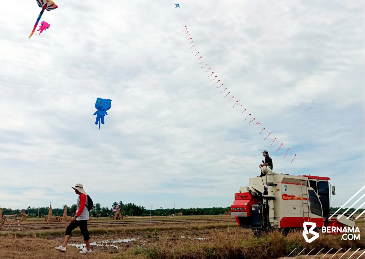 Peserta melepaskan layang-layang gergasi pelbagai bentuk dan warna sempena Karnival DíBendang Melaka di Kampung Parit Putat Benteng, Sungai Rambai. gambar BERNAMA