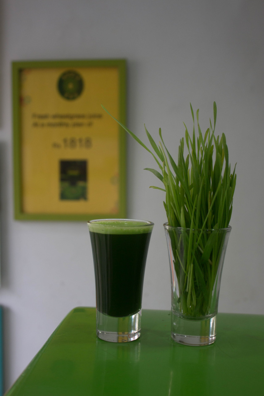 Pengambilan jus wheatgrass boleh memberi manfaat kesihatan yang lebih baik - Gambar Hiasan Unsplash