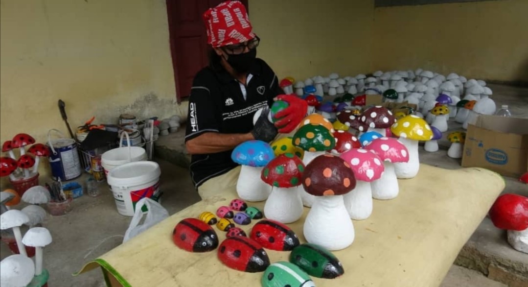Syed Hamdan mengusahakan cendawan batu hiasan di perkarangan rumahnya di Kampung Bukit Bayroute, dekat Kuantan .