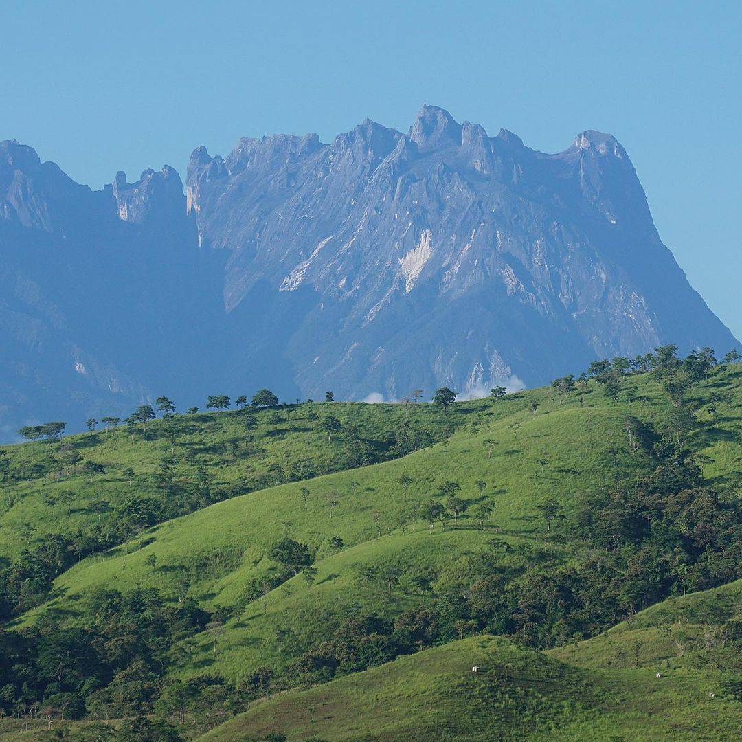 Gunung Kinabalu dari Lasau Podi, Kota Belud. Gambar: Instagram @affendysuwito