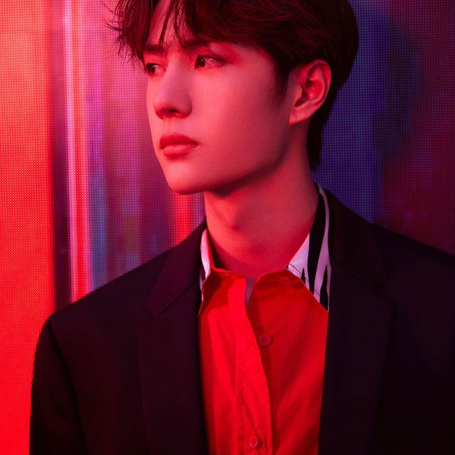 Wang Yibo. Gambar Fail