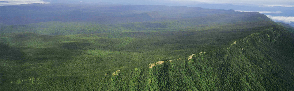 Maliau Basin dari atas. Gambar: Maliaubasin.org