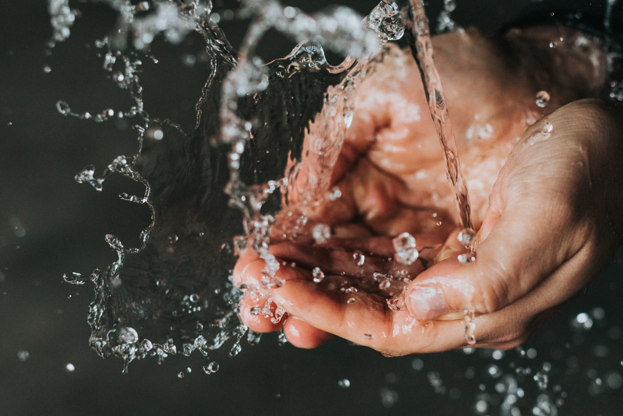 Gambar: Nathan Dumlao, Unsplash