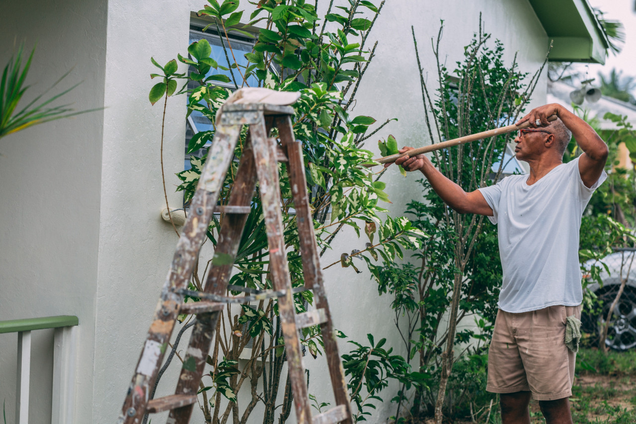 Gambar: Craig Adderley, Pexels