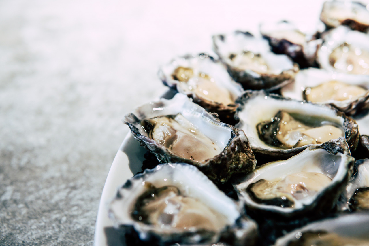 Gambar: Elle Hughes, Pexels