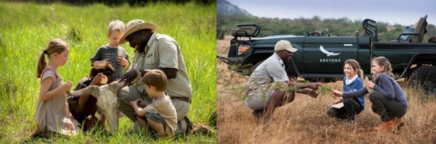 Phinda Mountain Lodge sesuai untuk menikmati percutian safari dan menyaksikan hidupan liar.