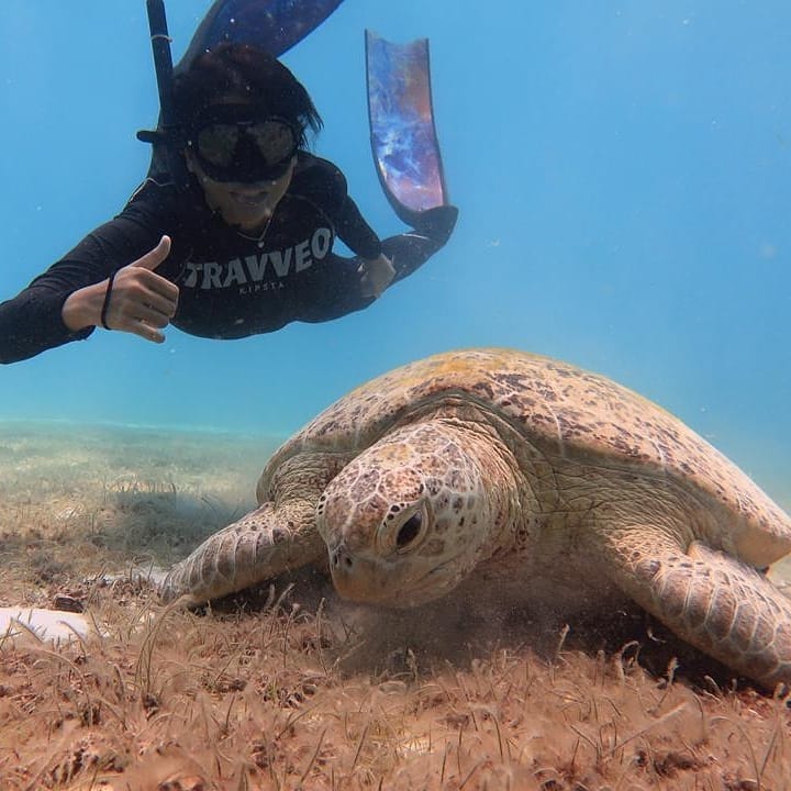 Gambar: Facebook Travveo.Perhentian